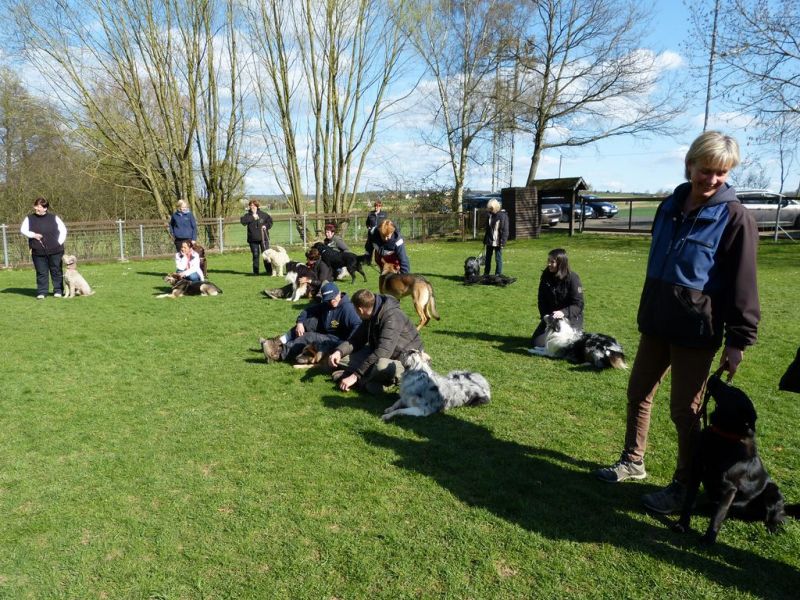 Obedience Prüfung 2015
