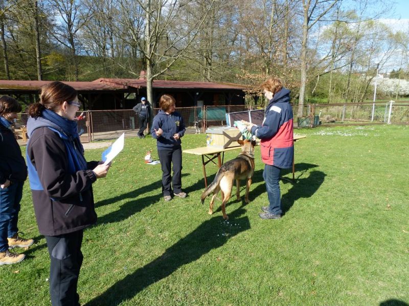 Obedience Prüfung 2015