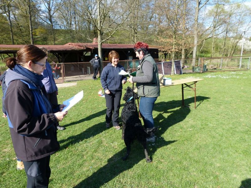Obedience Prüfung 2015