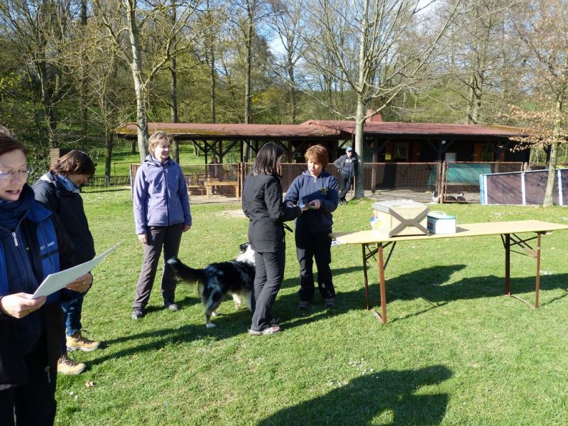 Obedience Prüfung 2015