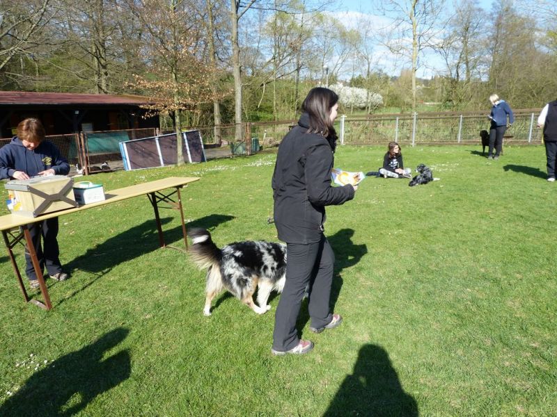 Obedience Prüfung 2015