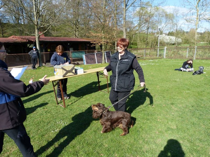 Obedience Prüfung 2015