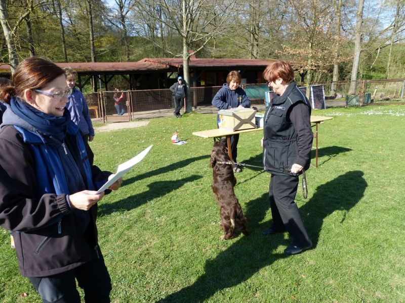 Obedience Prüfung 2015