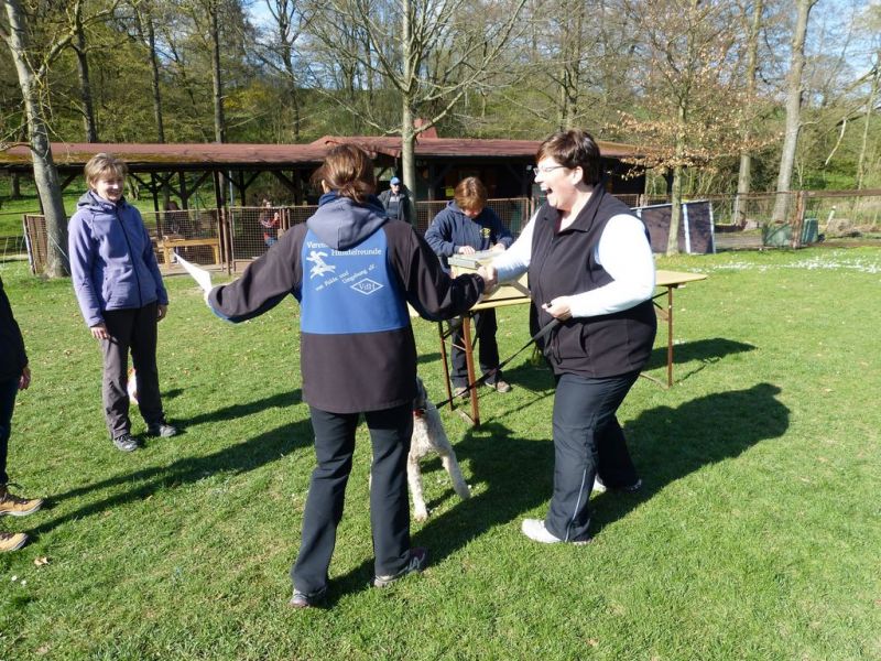 Obedience Prüfung 2015