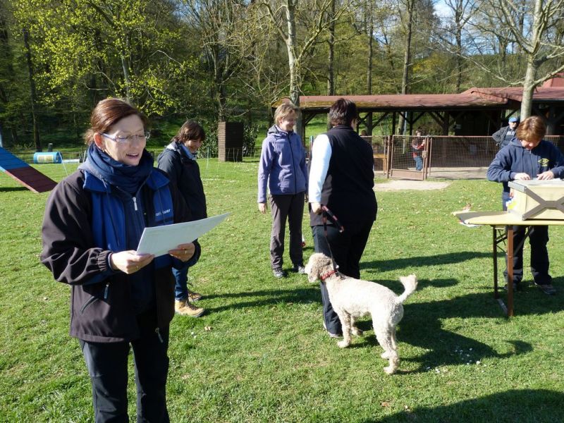 Obedience Prüfung 2015