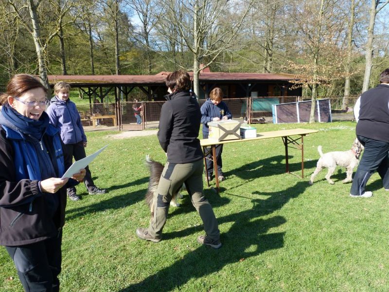 Obedience Prüfung 2015