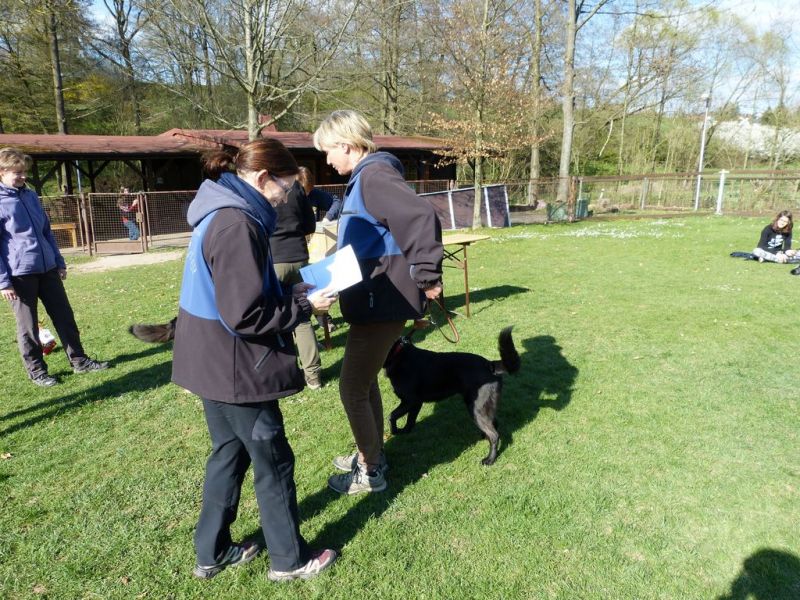 Obedience Prüfung 2015