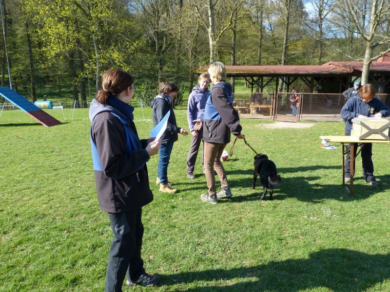 Obedience Prüfung 2015