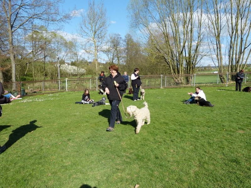 Obedience Prüfung 2015