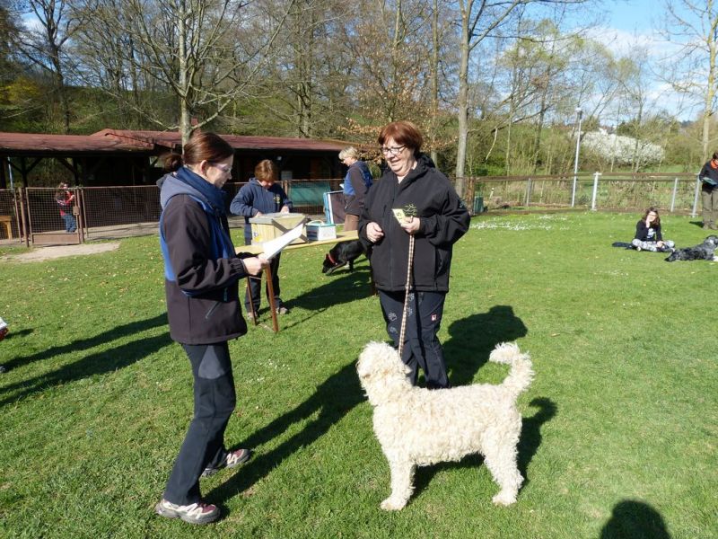 Obedience Prüfung 2015