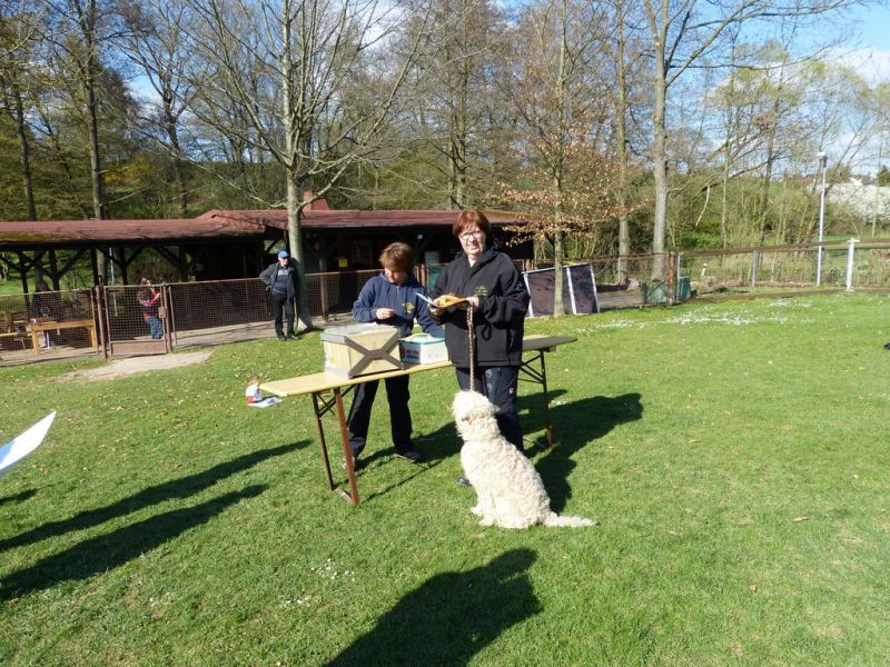 Obedience Prüfung 2015