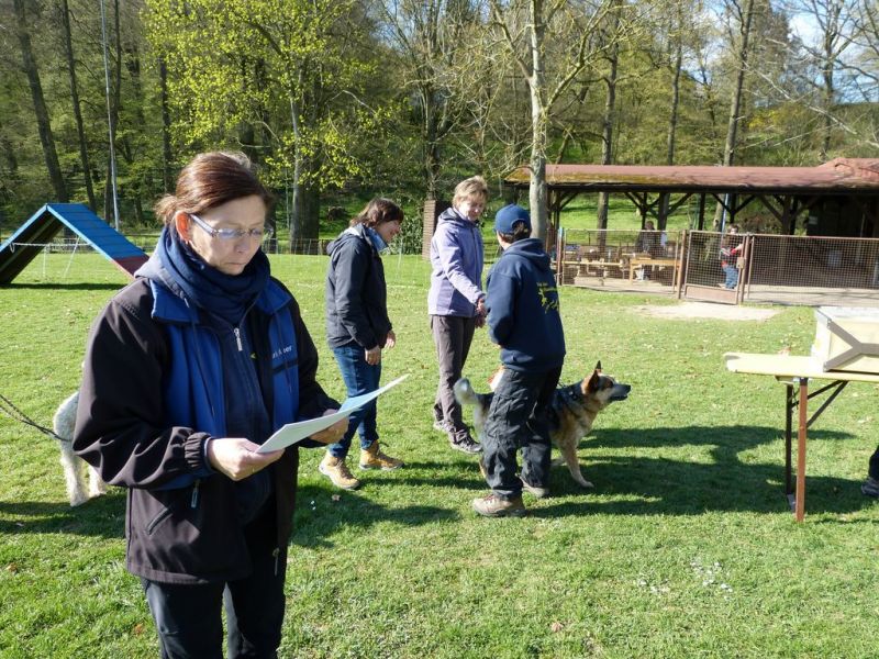 Obedience Prüfung 2015