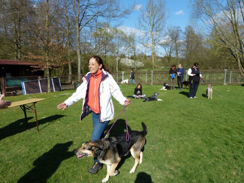 Obedience Prüfung 2015