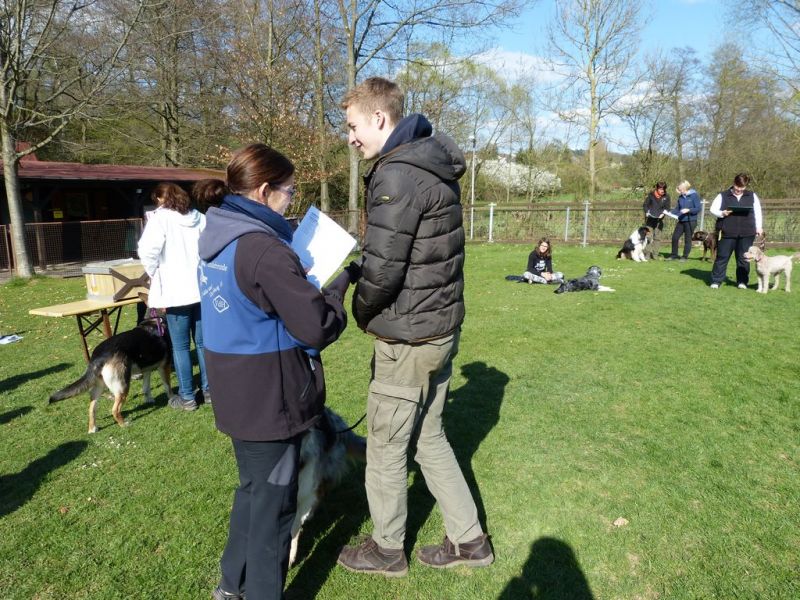 Obedience Prüfung 2015