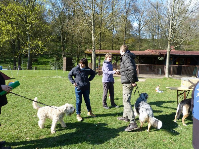 Obedience Prüfung 2015