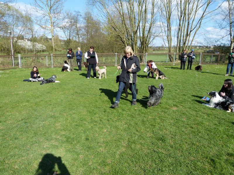 Obedience Prüfung 2015