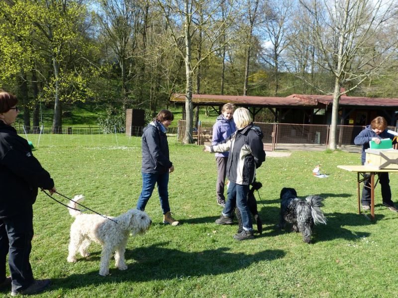 Obedience Prüfung 2015