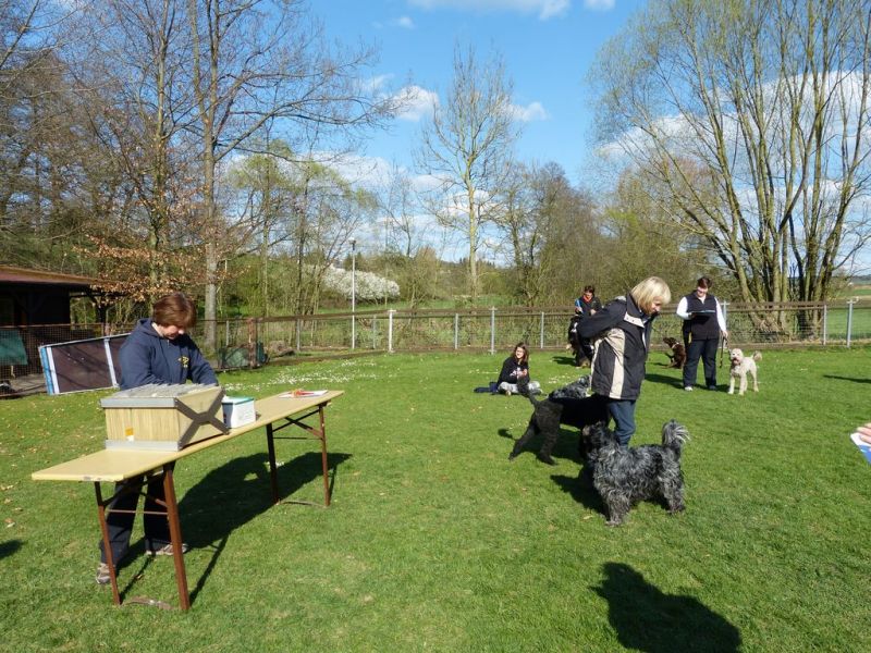 Obedience Prüfung 2015