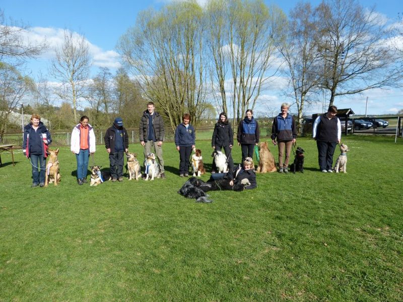 Obedience Prüfung 2015