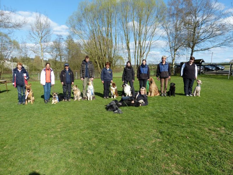 Obedience Prüfung 2015