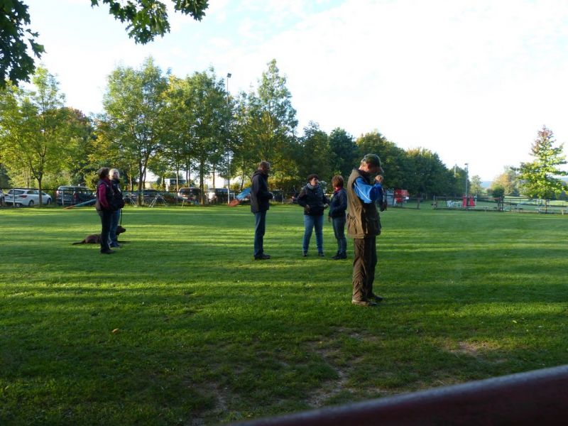 Obedience Prüfung 2015