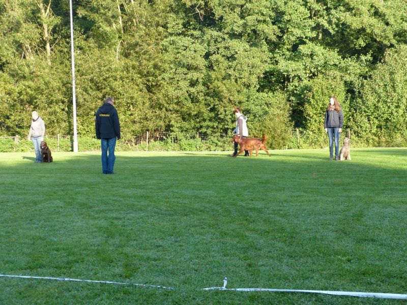 Obedience Prüfung 2015