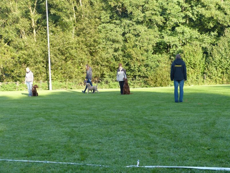 Obedience Prüfung 2015
