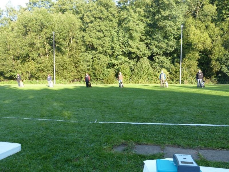 Obedience Prüfung 2015