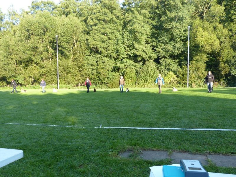 Obedience Prüfung 2015