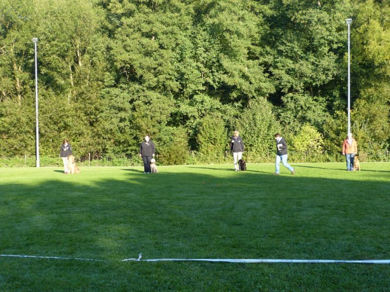 Obedience Prüfung 2015