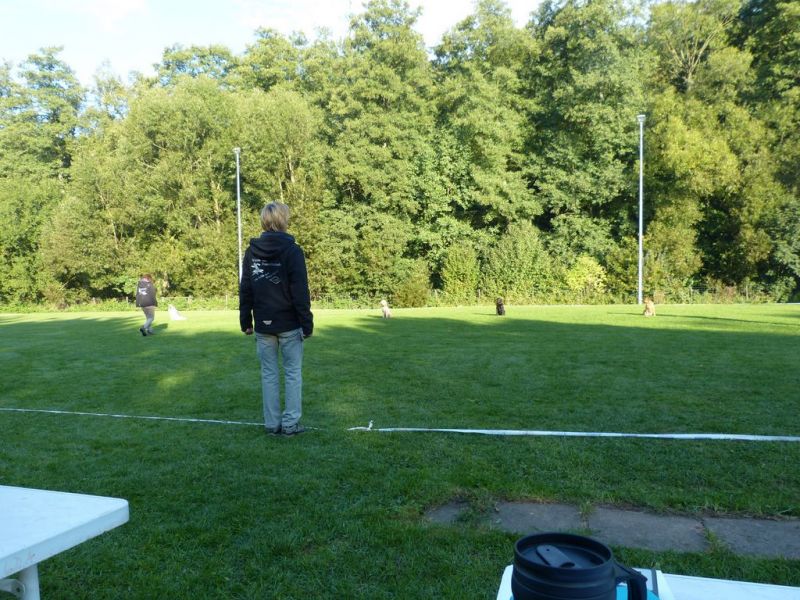 Obedience Prüfung 2015
