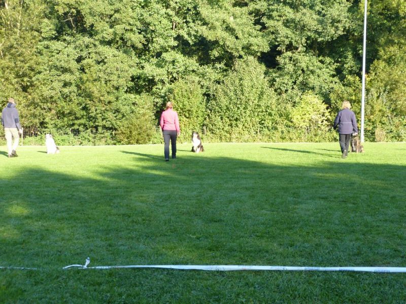 Obedience Prüfung 2015