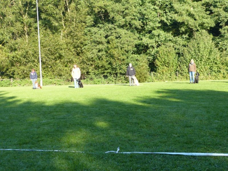 Obedience Prüfung 2015