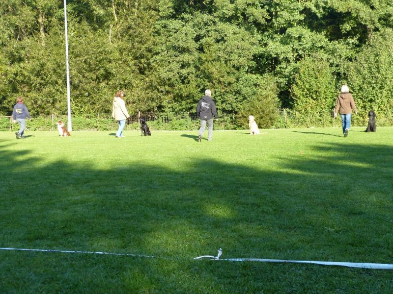 Obedience Prüfung 2015