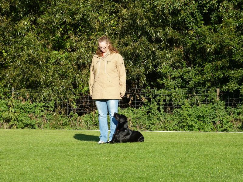 Obedience Prüfung 2015