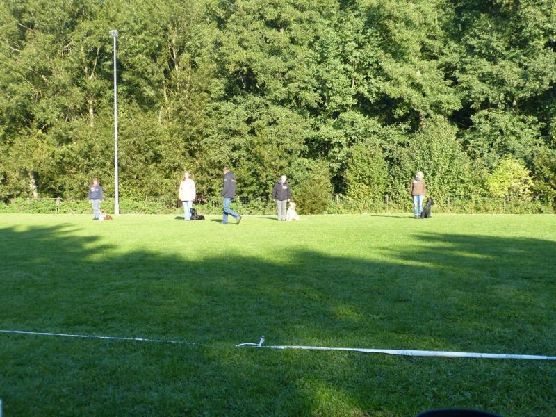 Obedience Prüfung 2015