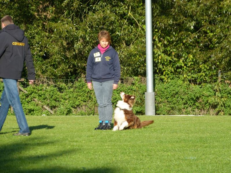Obedience Prüfung 2015