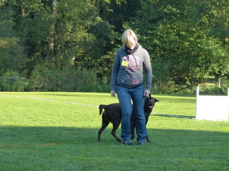 Obedience Prüfung 2015