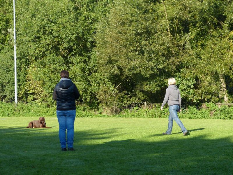 Obedience Prüfung 2015