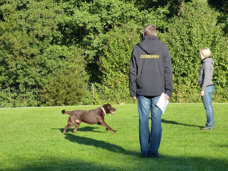 Obedience Prüfung 2015