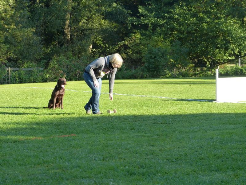 Obedience Prüfung 2015