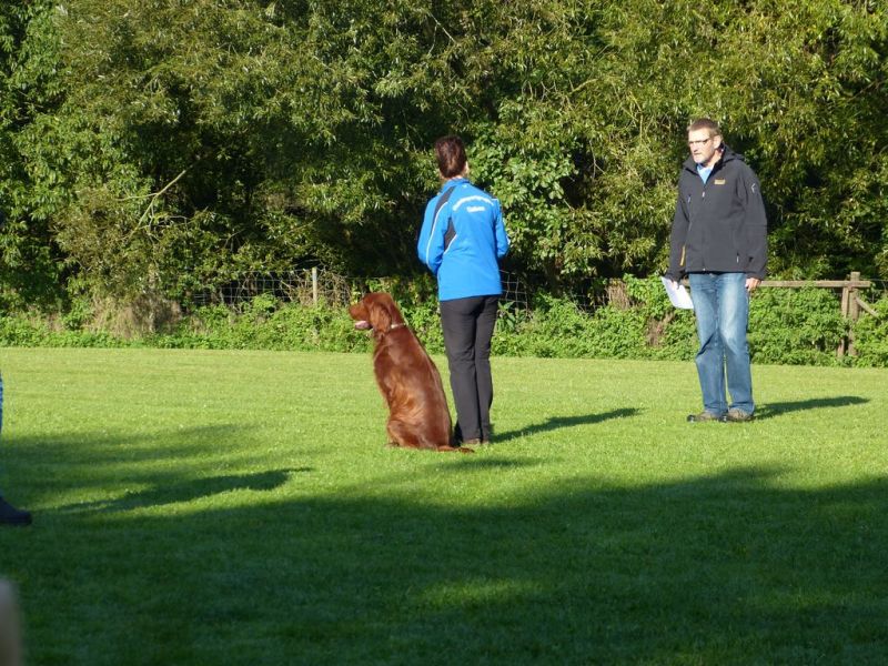 Obedience Prüfung 2015