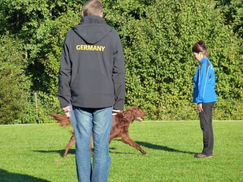 Obedience Prüfung 2015