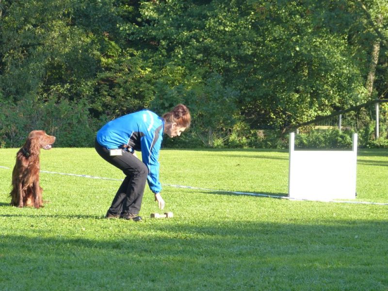 Obedience Prüfung 2015