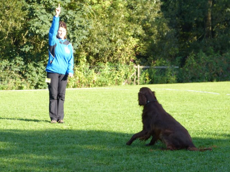 Obedience Prüfung 2015