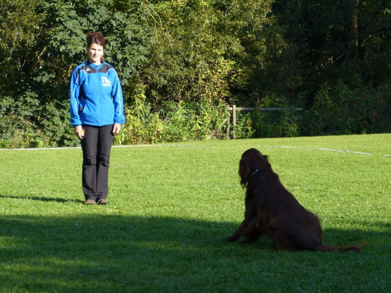 Obedience Prüfung 2015