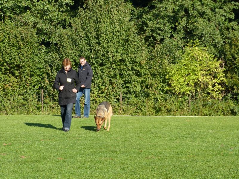 Obedience Prüfung 2015
