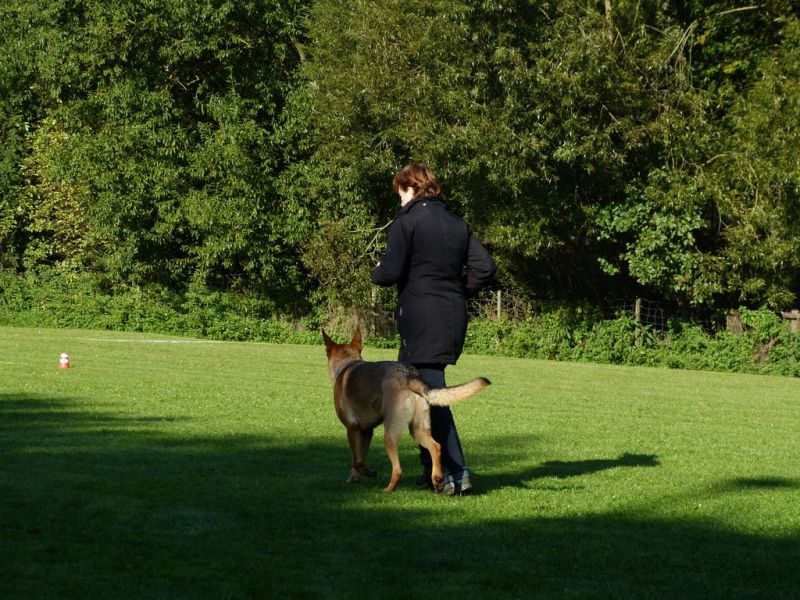 Obedience Prüfung 2015