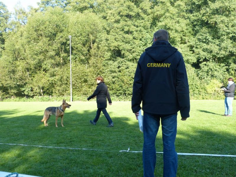 Obedience Prüfung 2015