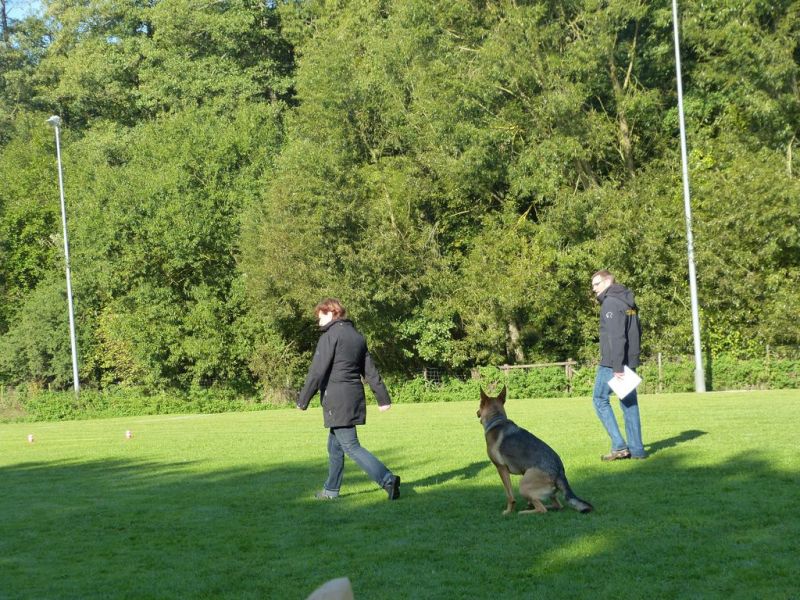Obedience Prüfung 2015